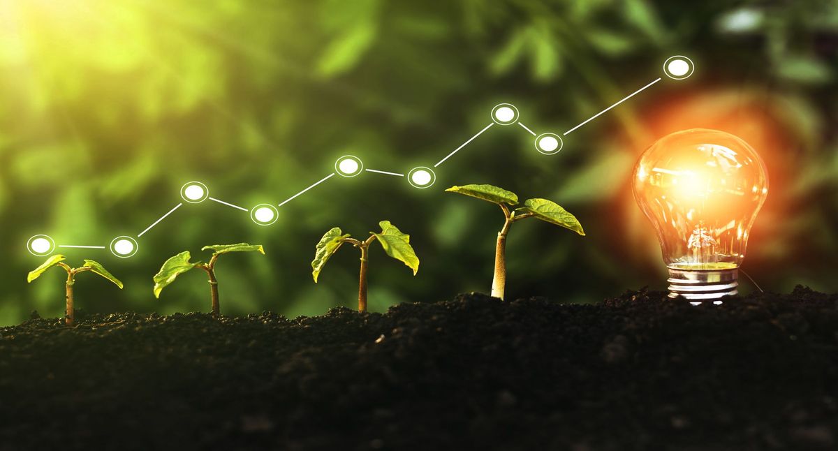 Concept of eco business growth, profit, development and success. Ecology and green technology concept.